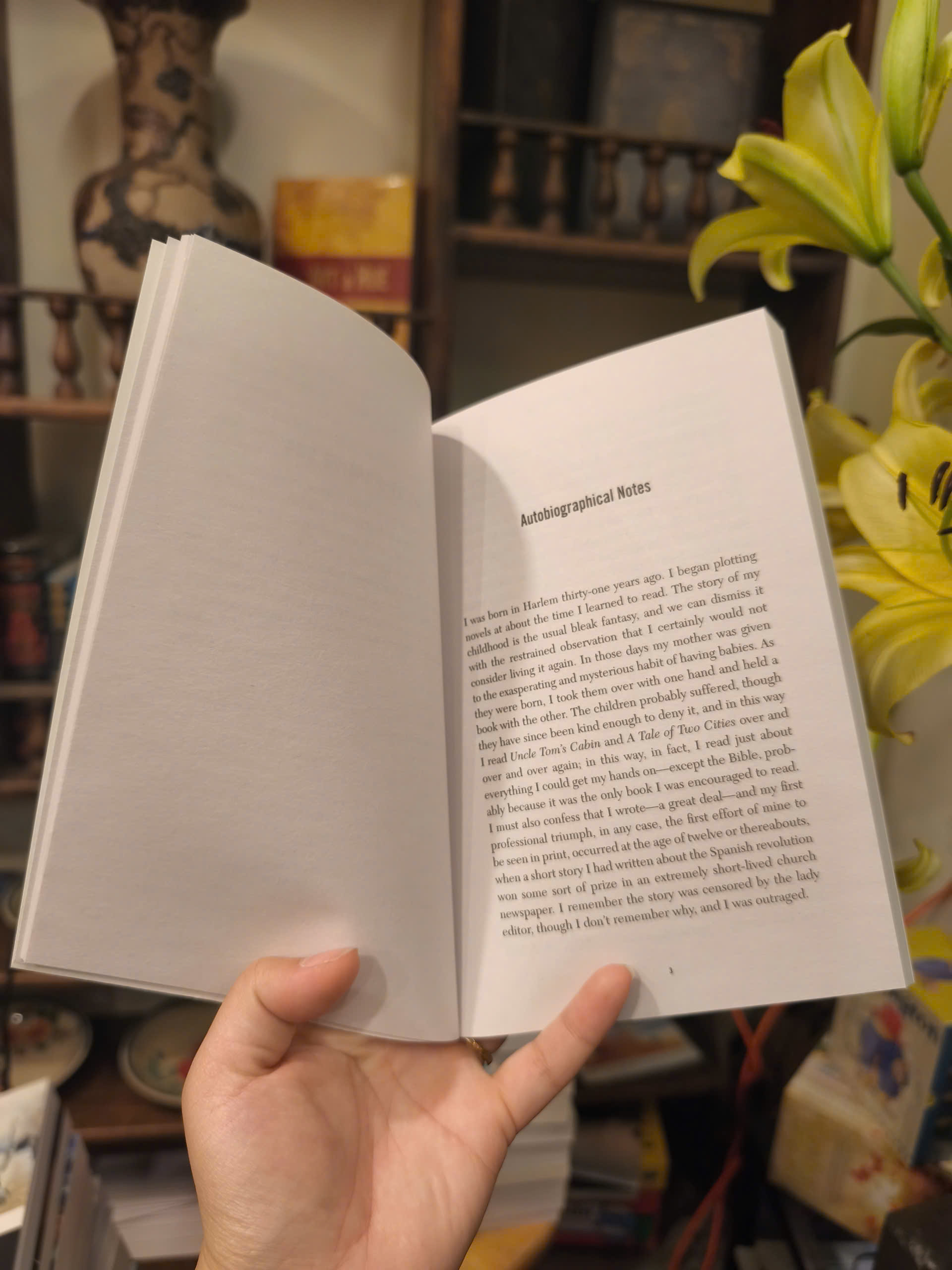 Sách - Notes of a Native Son by James Baldwin | Essays / Classics / Ngoại văn Nhập khẩu Kinh điển