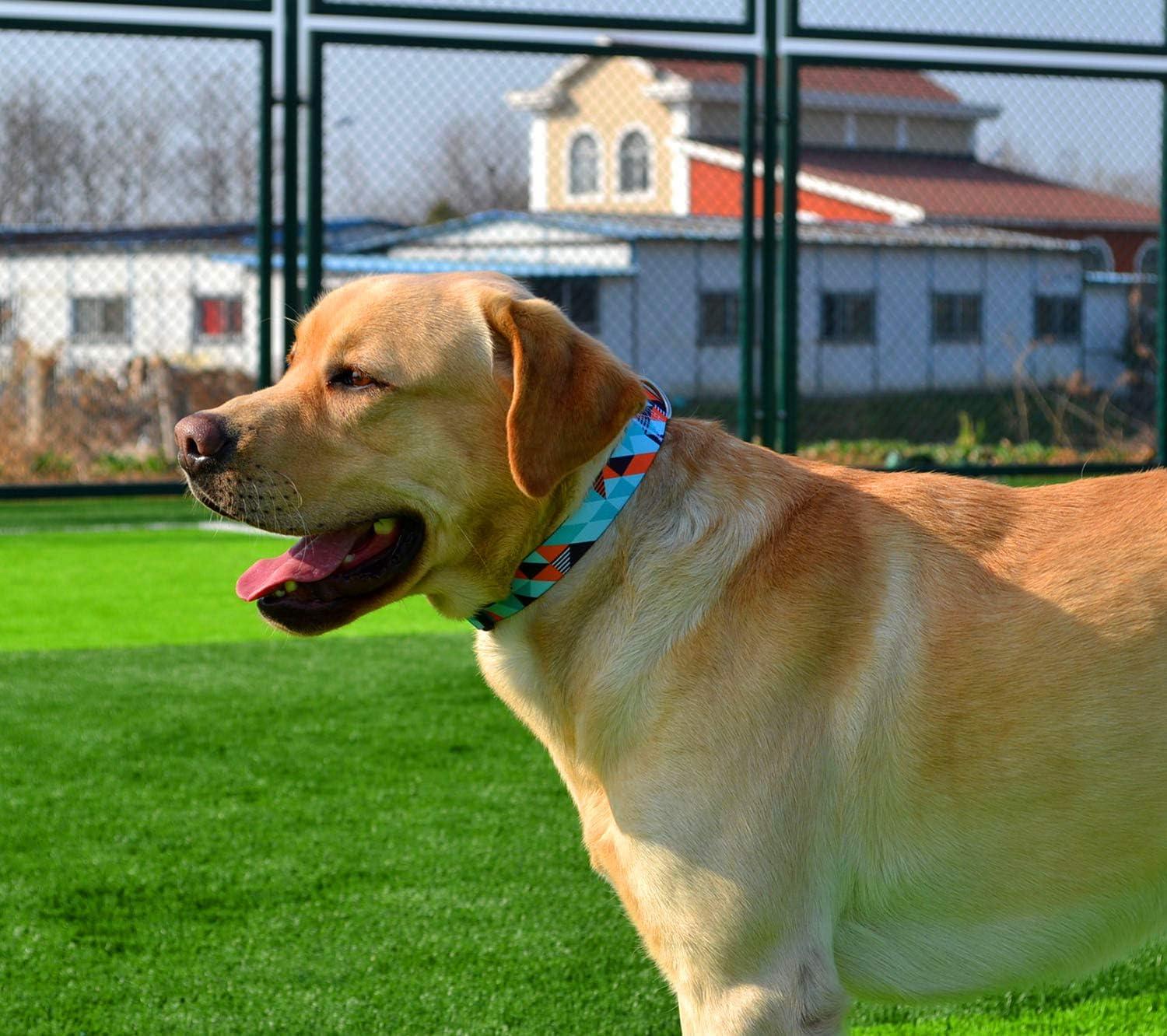 Vòng cổ cho chó, Hoa văn thời trang với Khóa nhả nhanh,Hình học,Vòng cổ cổ điển,