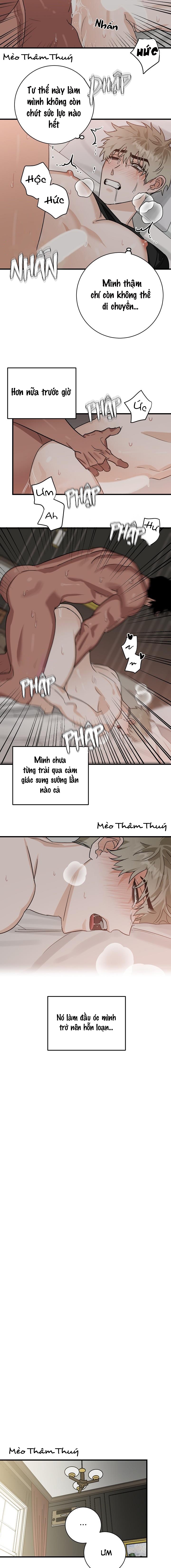 cục cưng à! em là tội nhân xxx chapter 3 7
