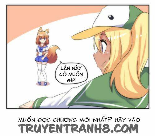 internet explorer chapter 14 4