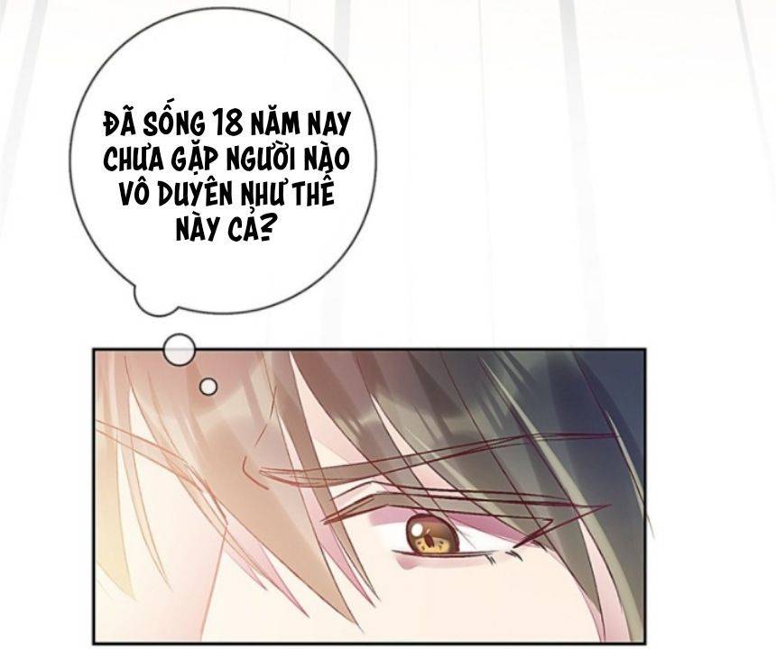 qúy phi muốn trở thành con cá mặn mòi chapter 1 19