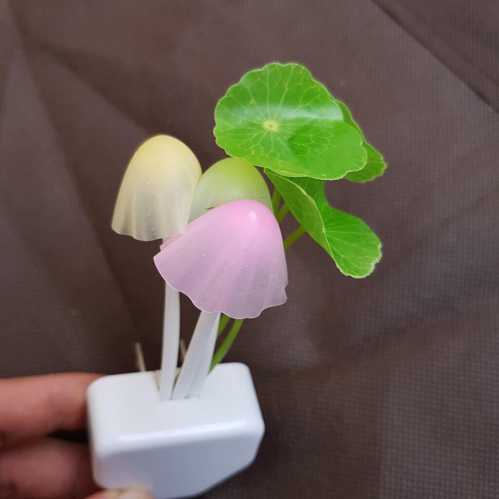 Đèn Ngủ Led Cảm Ứng Ánh Sáng Avatar Hình Nấm Tặng Đèn Led Cổng Usb - Miễn Phí Vận Chuyển