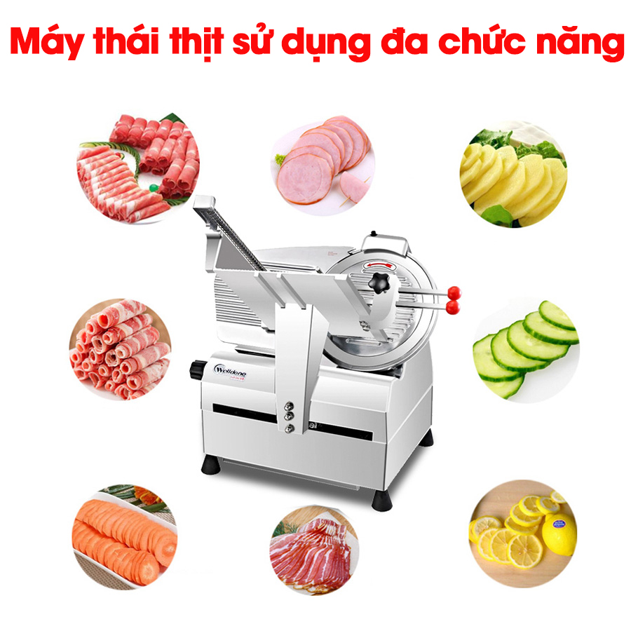 Máy Thái Thịt Đông Lạnh Tự Động SL 300B NEWSUN, Thái Năng Suất Cao - Hàng Chính Hãng