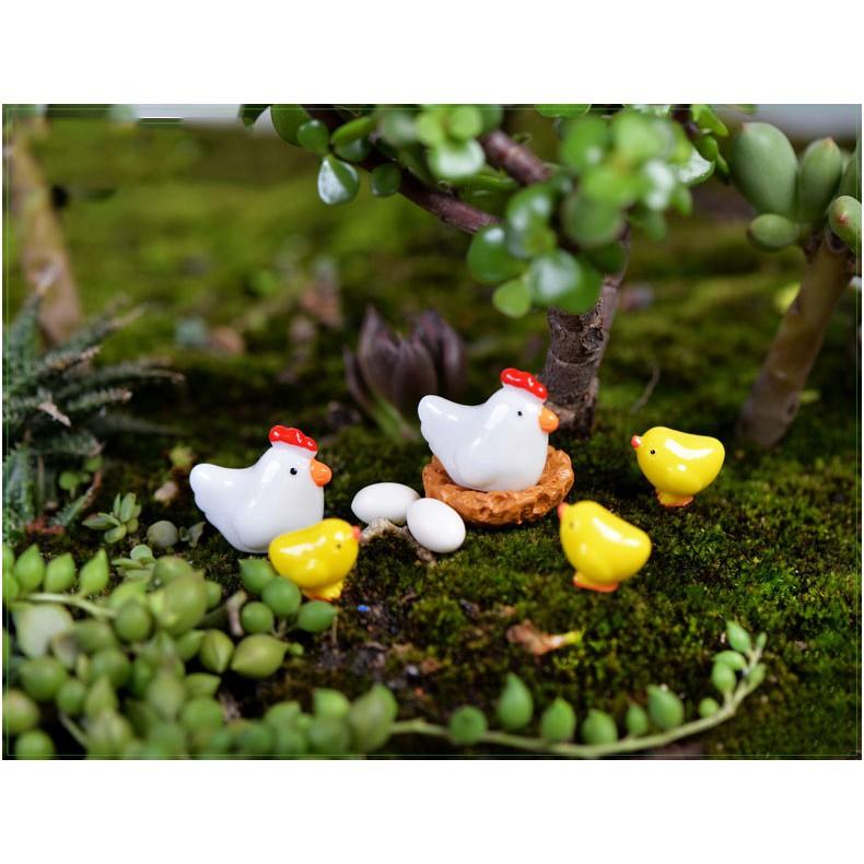 Tiểu cảnh Terrarium ️ Gia đình gà con tiểu cảnh trang trí sen đá, sân vườn, bể cá, bể terrarium