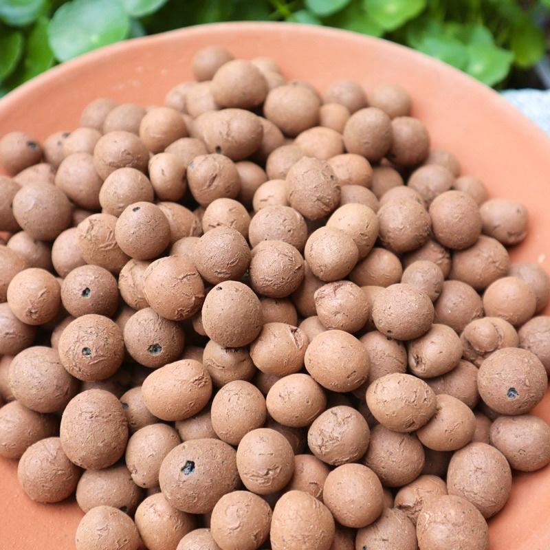 Viên đất nung Popper hạt Leca hỗ trợ trồng cây thuỷ sinh, giúp bám rễ tốt, thoáng khí