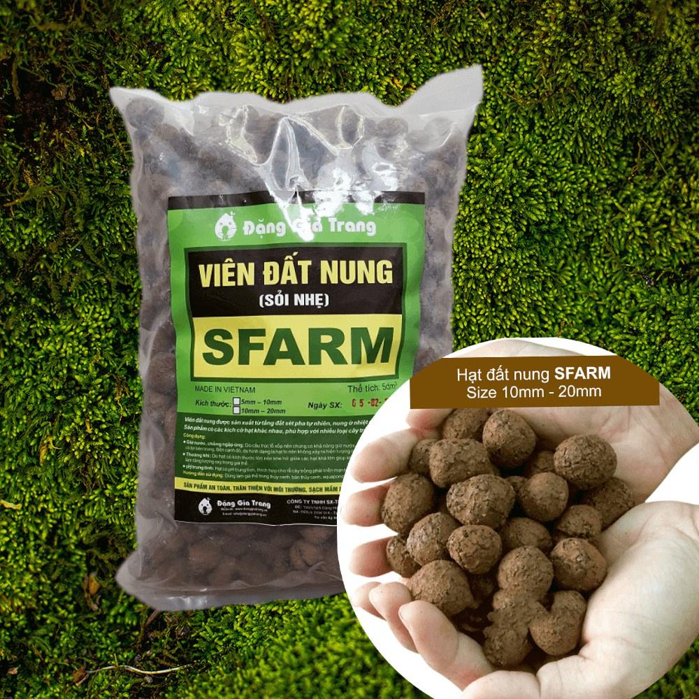 Viên đất nung Sfarm trồng lan, trồng cây, sen đá, làm hệ thống lọc.... túi 5dm