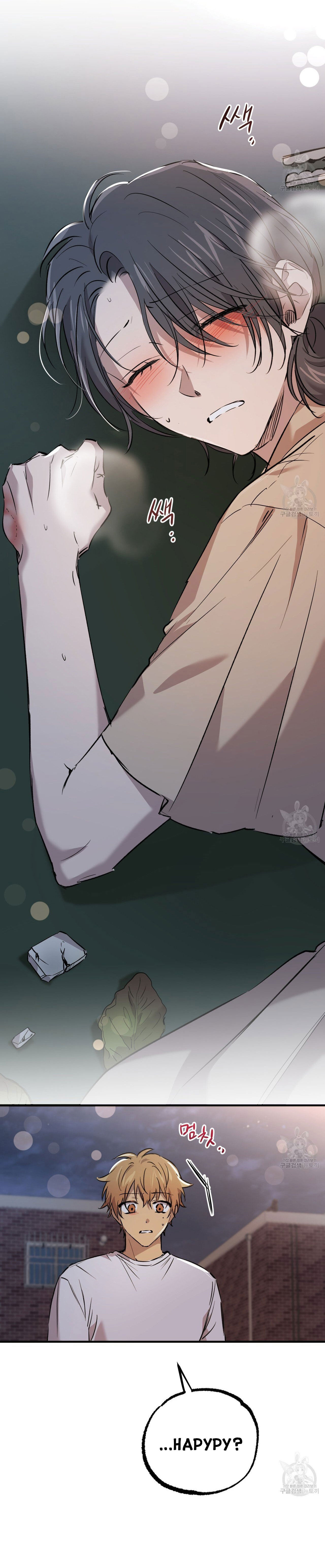 những chú thỏ của hapypy chapter 58.2 11