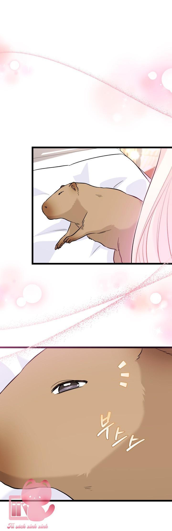 quan hệ cộng sinh giữa báo đen và thỏ trắng chapter 123 31