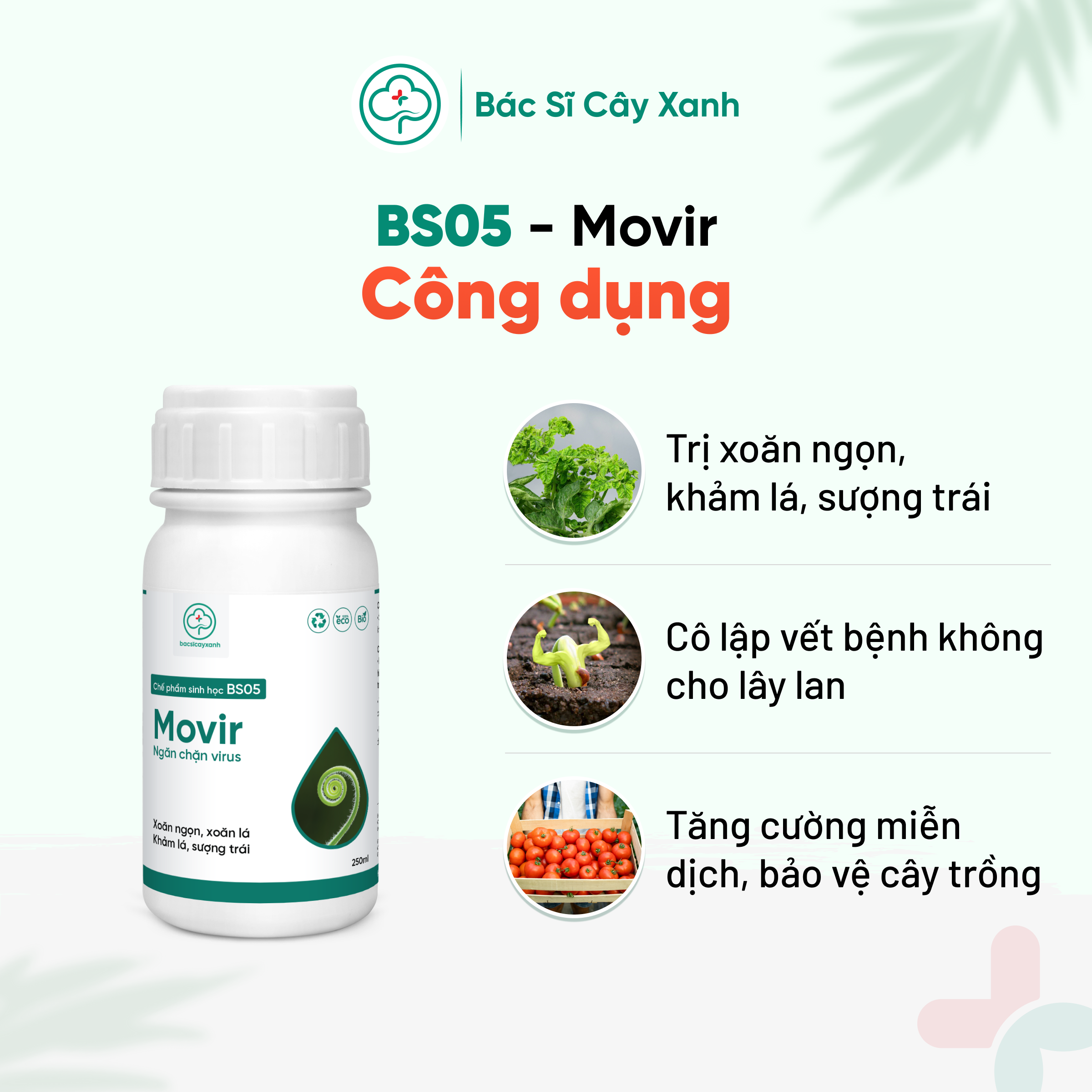 Chế phẩm phòng trị xoăn ngọn, xoăn lá, khảm lá, sượng trái, An toàn sức khoẻ BS05 Movir 100/250ml NSX Bacsicayxanh