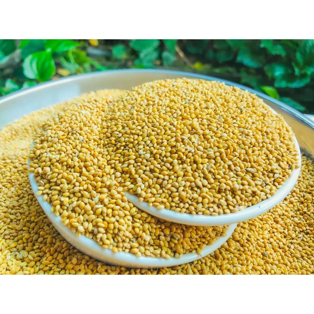 Hạt kê vàng, thức ăn cho chim cảnh, Yến Phụng, Vẹt, cu gáy, Hamster, sóc và các dòng chim sẻ