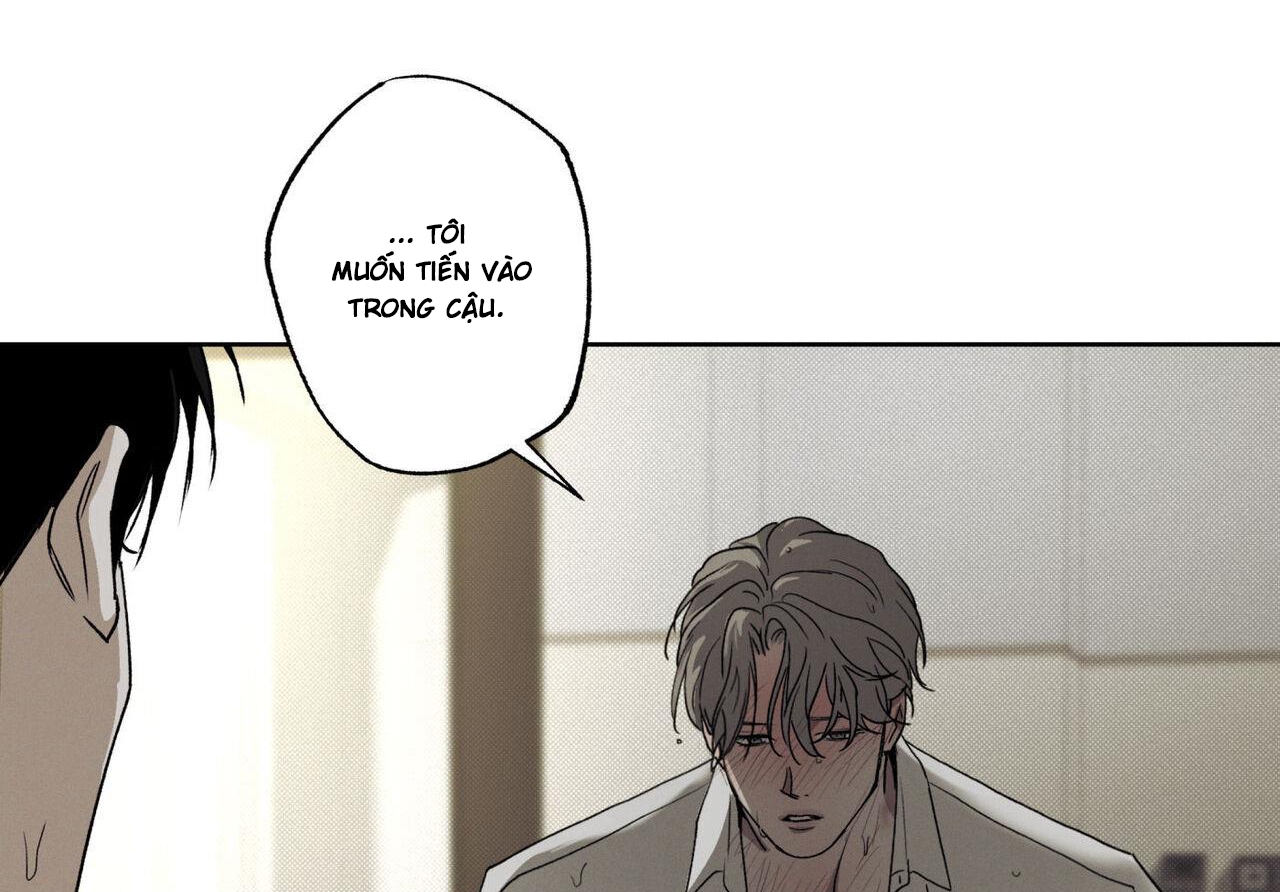 chàng giao pizza và gold palace chapter 45 12