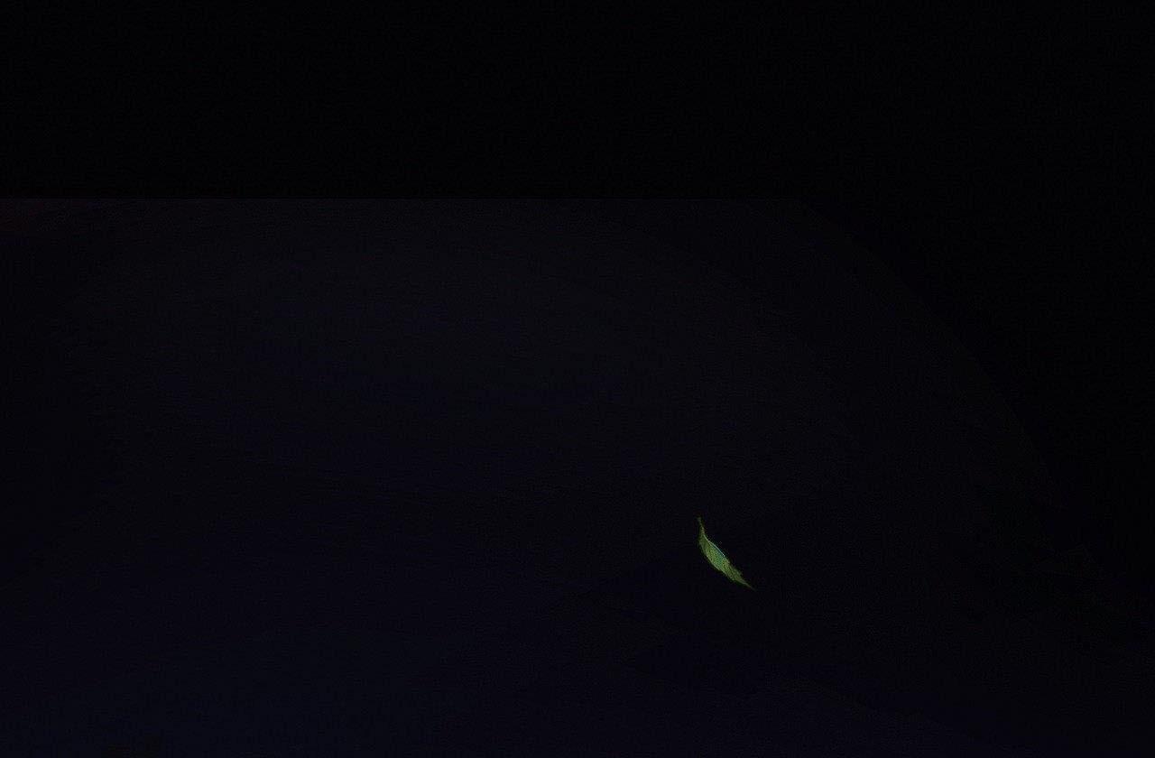 qủy dạ khúc chapter 38 1