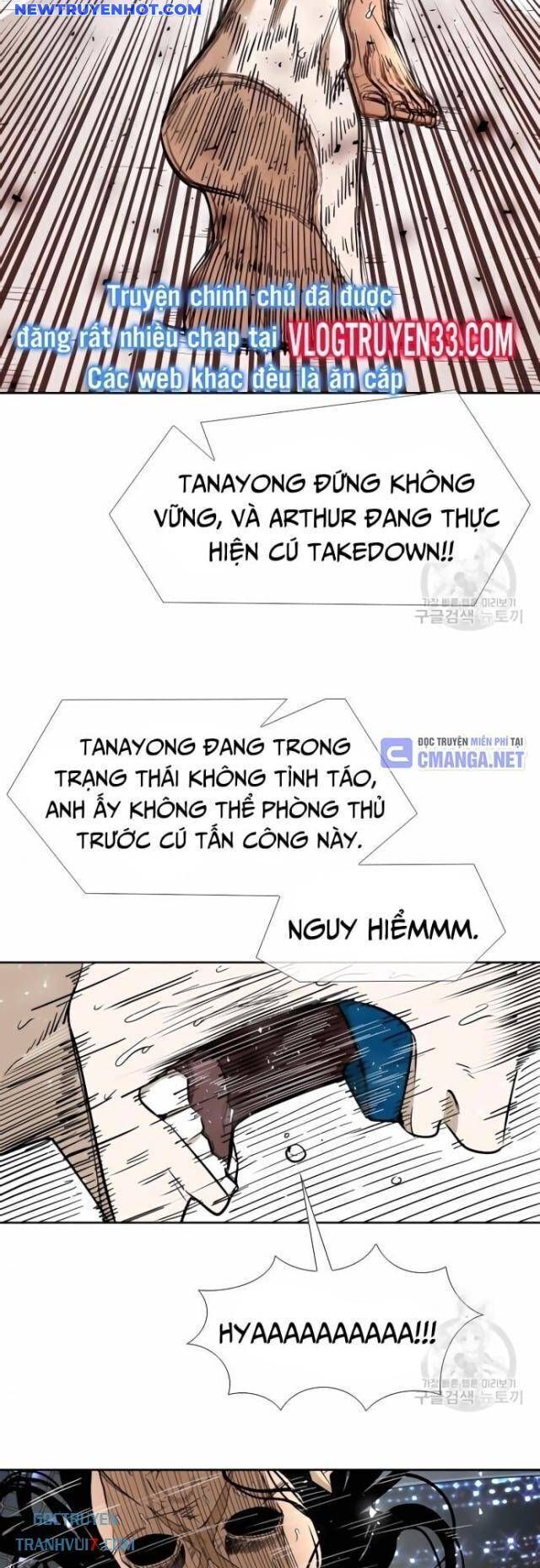 shark - cá mập chapter 247 50