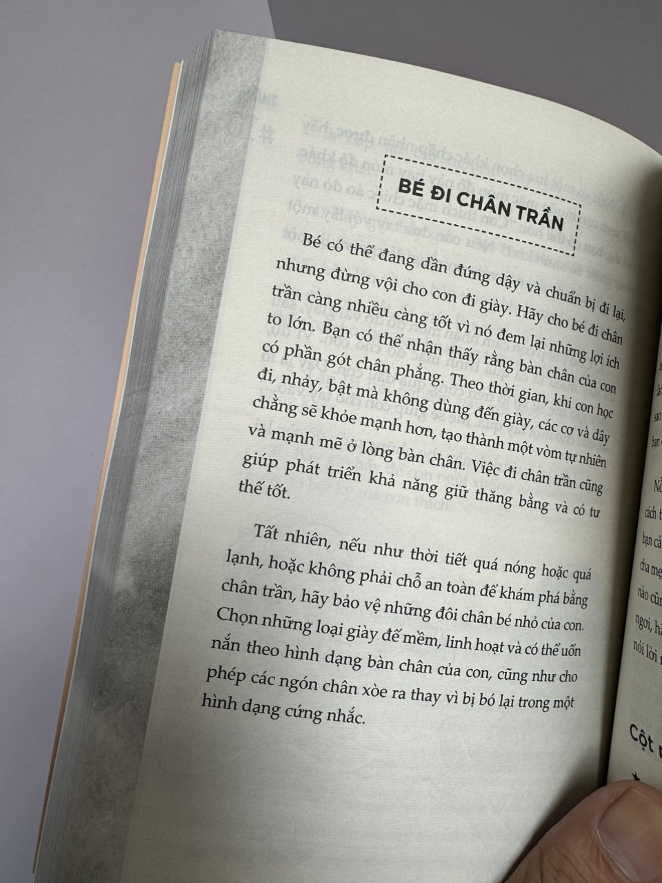 BẢN NĂNG LÀM MẸ - BẢN LĨNH NUÔI CON_ Aubrey Hargis _Mia Bùi dịch_AZ Việt Nam_NXB Thế Giới