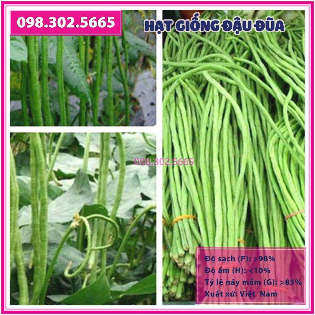 Hạt giống đậu đũa xanh cao sản F1 - gói 20g -chất lượng tốt, năng suất cao