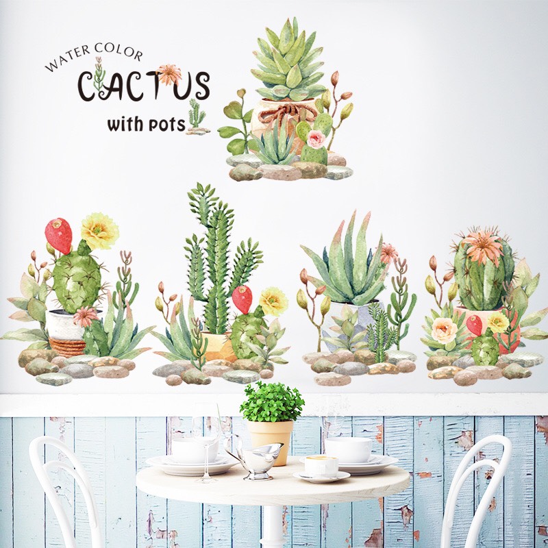 Decal trang trí tường - Những cây xương rồng và sen đá
