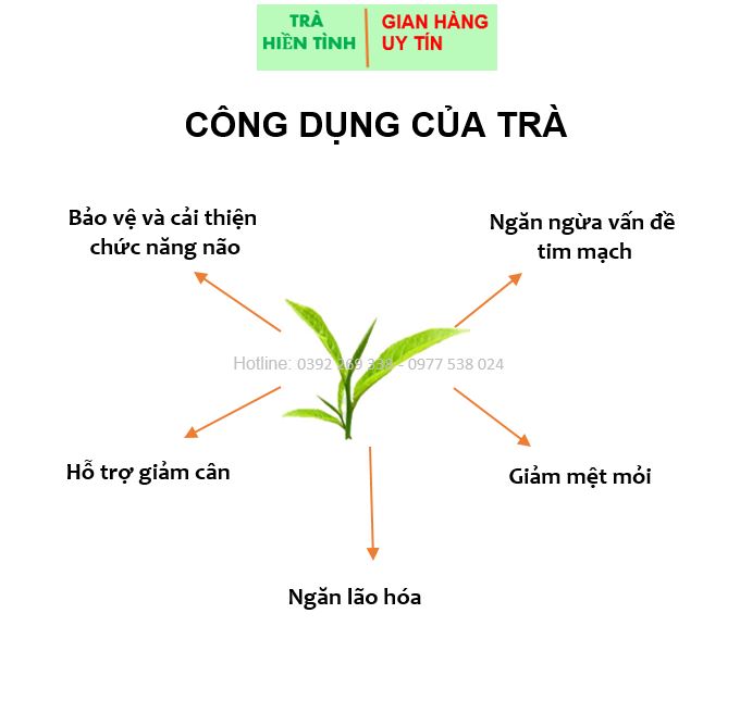 500 Gram trà móc câu cao cấp Tân Cương Thái Nguyên, cơ sở uy tín top 10 tại Thái Nguyên