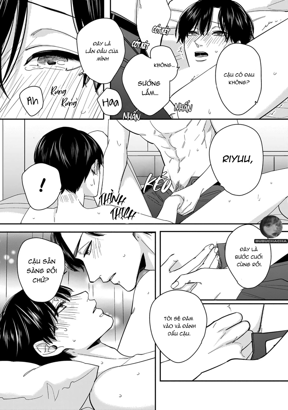 dù không là định mệnh chapter 1 15