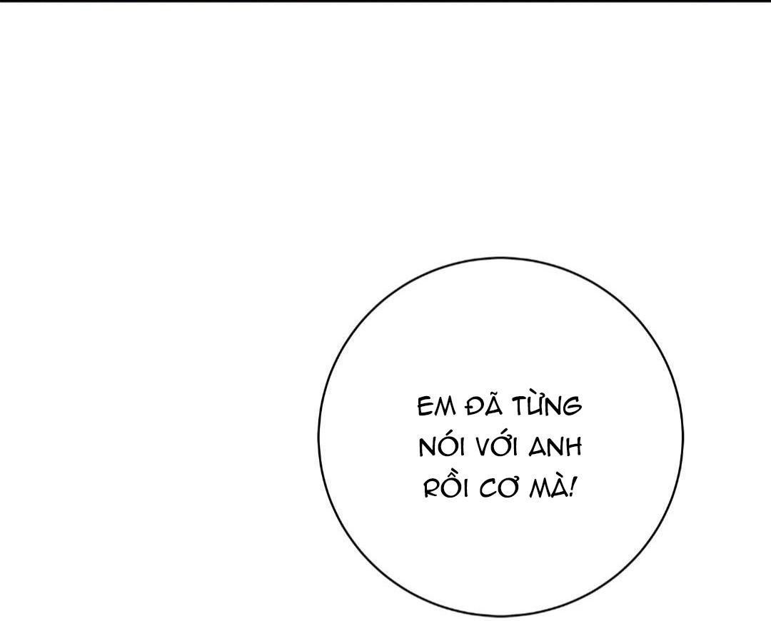 hạnh phúc trọn vẹn chapter 25 26