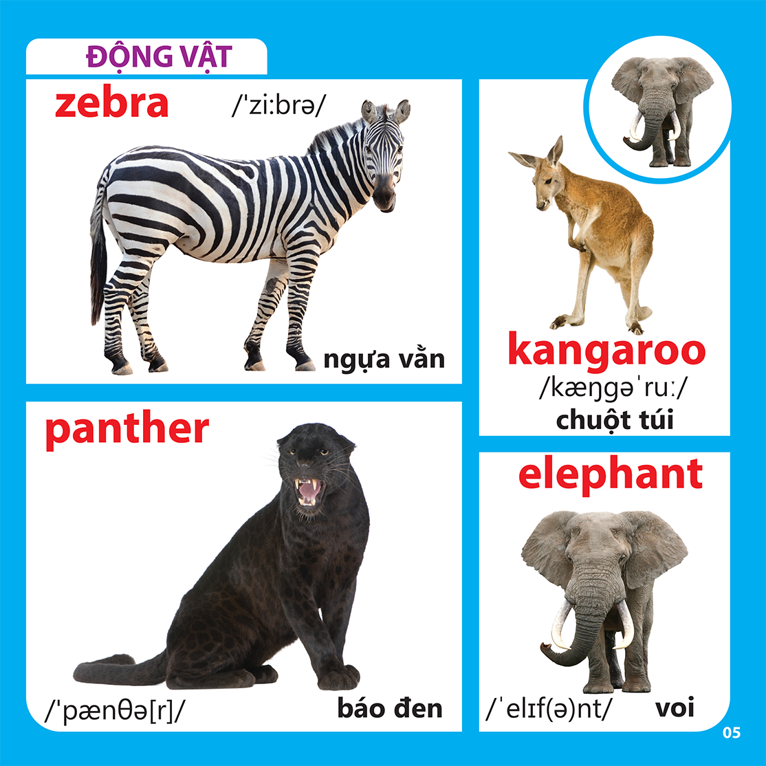Bách Khoa Toàn Thư Cho Bé - Động Vật (Tái Bản 2019)