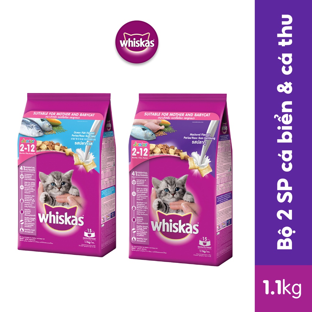 Bộ 2 túi thức ăn WHISKAS cho mèo con dạng hạt 1.1kg (2 túi)