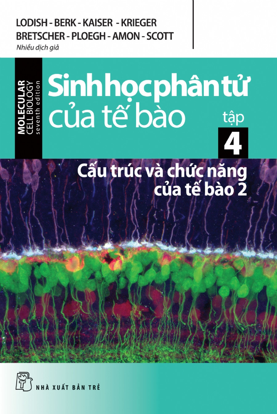 (Ấn bản mới nhất) MOLECULAR CELL BIOLOGY - SINH HỌC PHÂN TỬ CỦA TẾ BÀO (Tập 1-2-3-4-5) - (bộ 5 cuốn, bìa mềm)