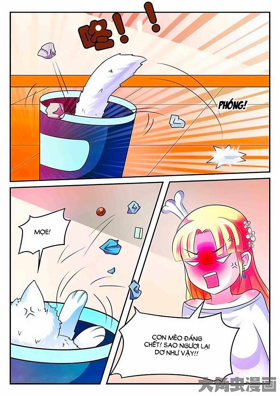 mau lấy con mèo đó ra chapter 3 5