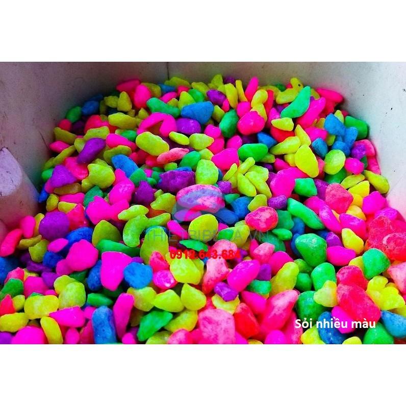 Sỏi trang trí bể cá, gốc cây