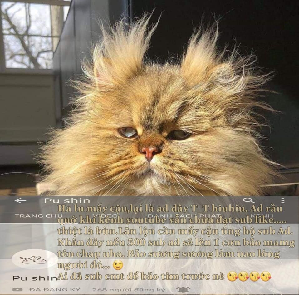 tôi là tiểu thư của gia đình này chapter 25.2 20