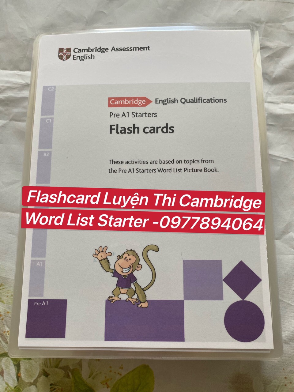 Flashcard tự vựng luyện thi CAMBRIDGE STARTER (214 thẻ ép plastic)