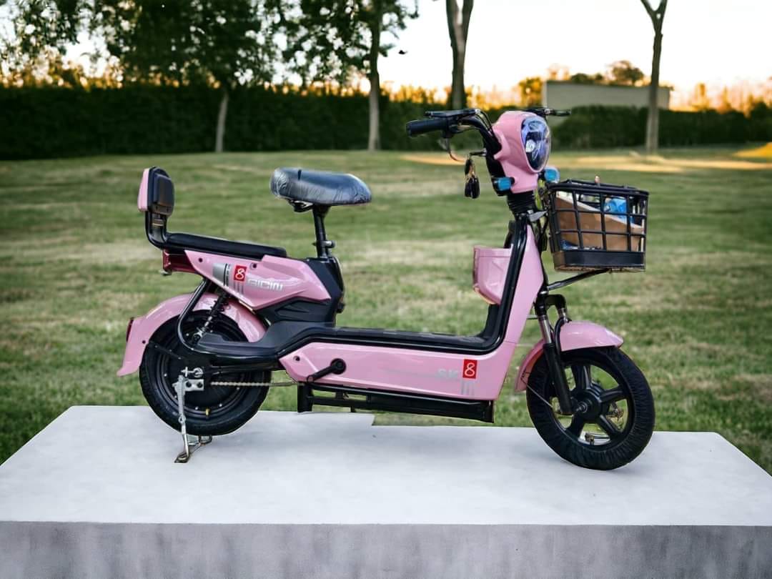 XE ĐIỆN SK8