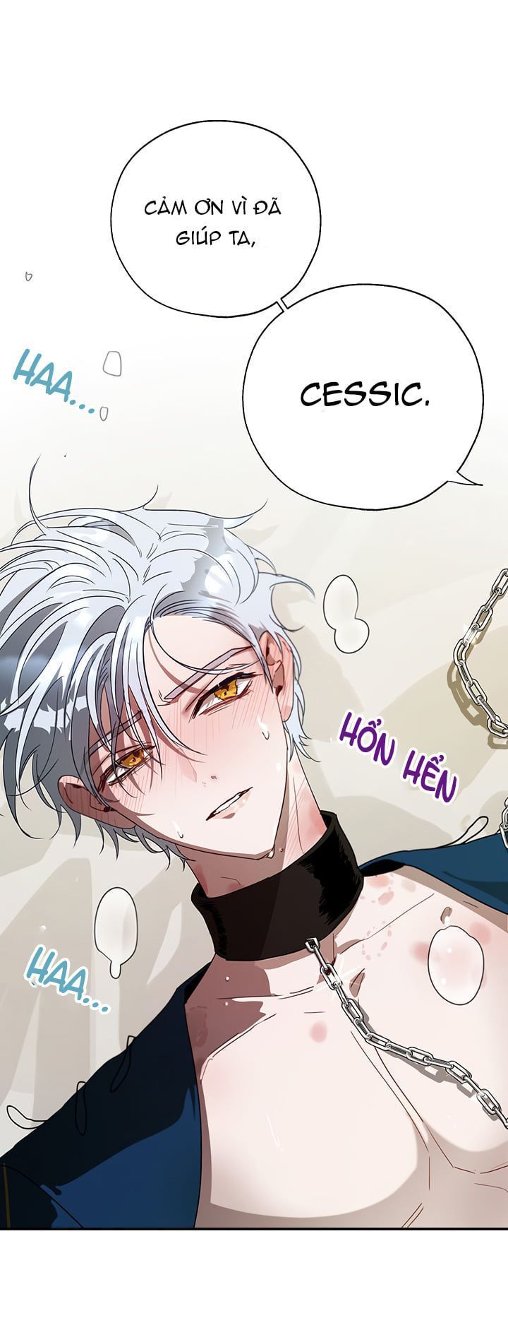 cách để cứu rỗi anh trai của nữ chính chapter 13 28