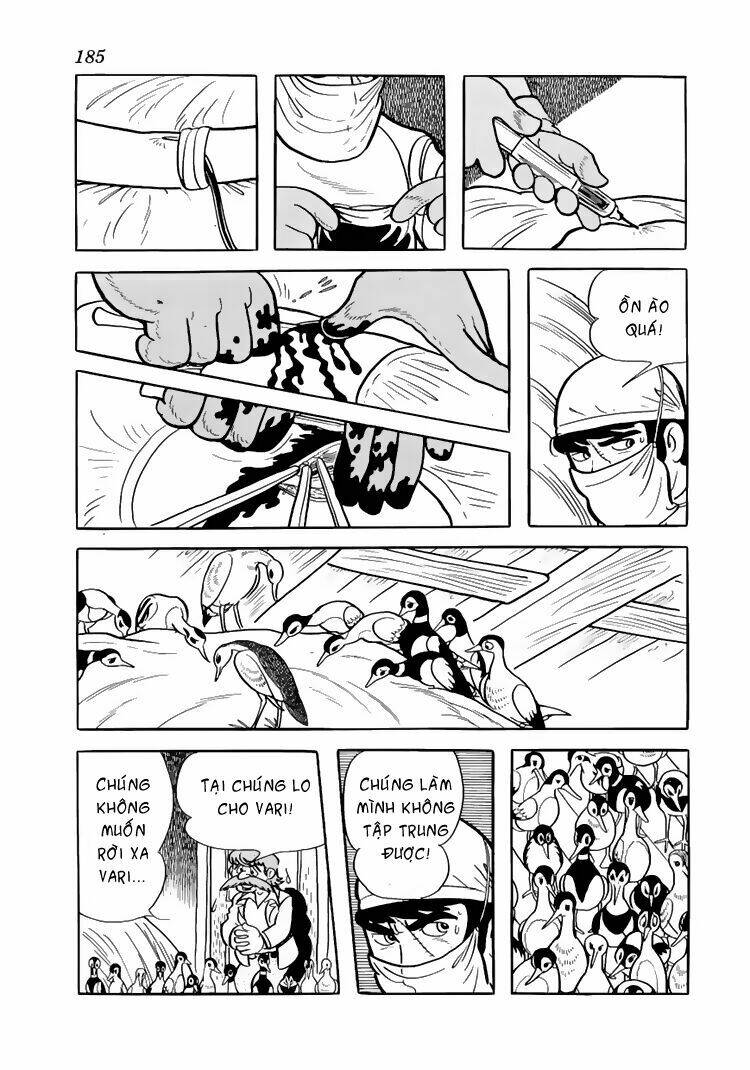 bác sĩ quái dị chapter 38 11