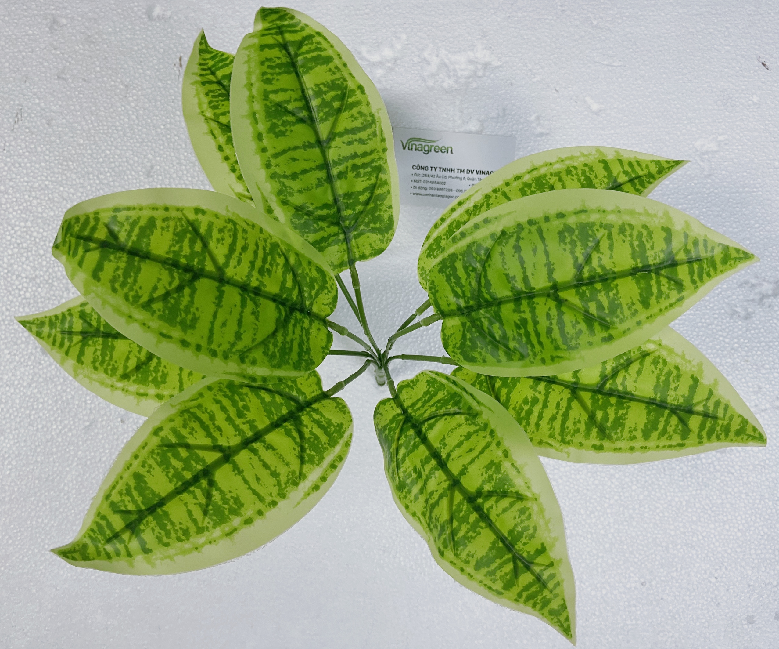 Cây lưỡi hổ lùn, cây giả trang trí 9 nhánh lá, cao 30cm, decor, trang trí nhà cửa, bàn làm việc - YY-181