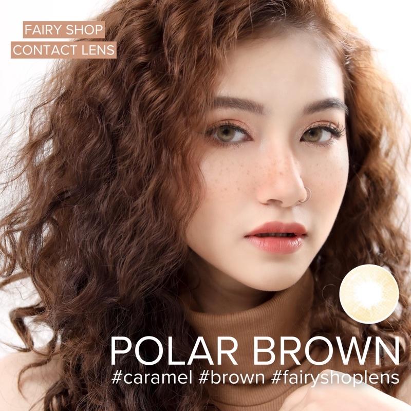 Kính Áp tròng Polar Brown 14.0mm PNB Brown - Kính Áp Tròng FAIRY SHOP CONTACT LENS độ cận 0 đến 8