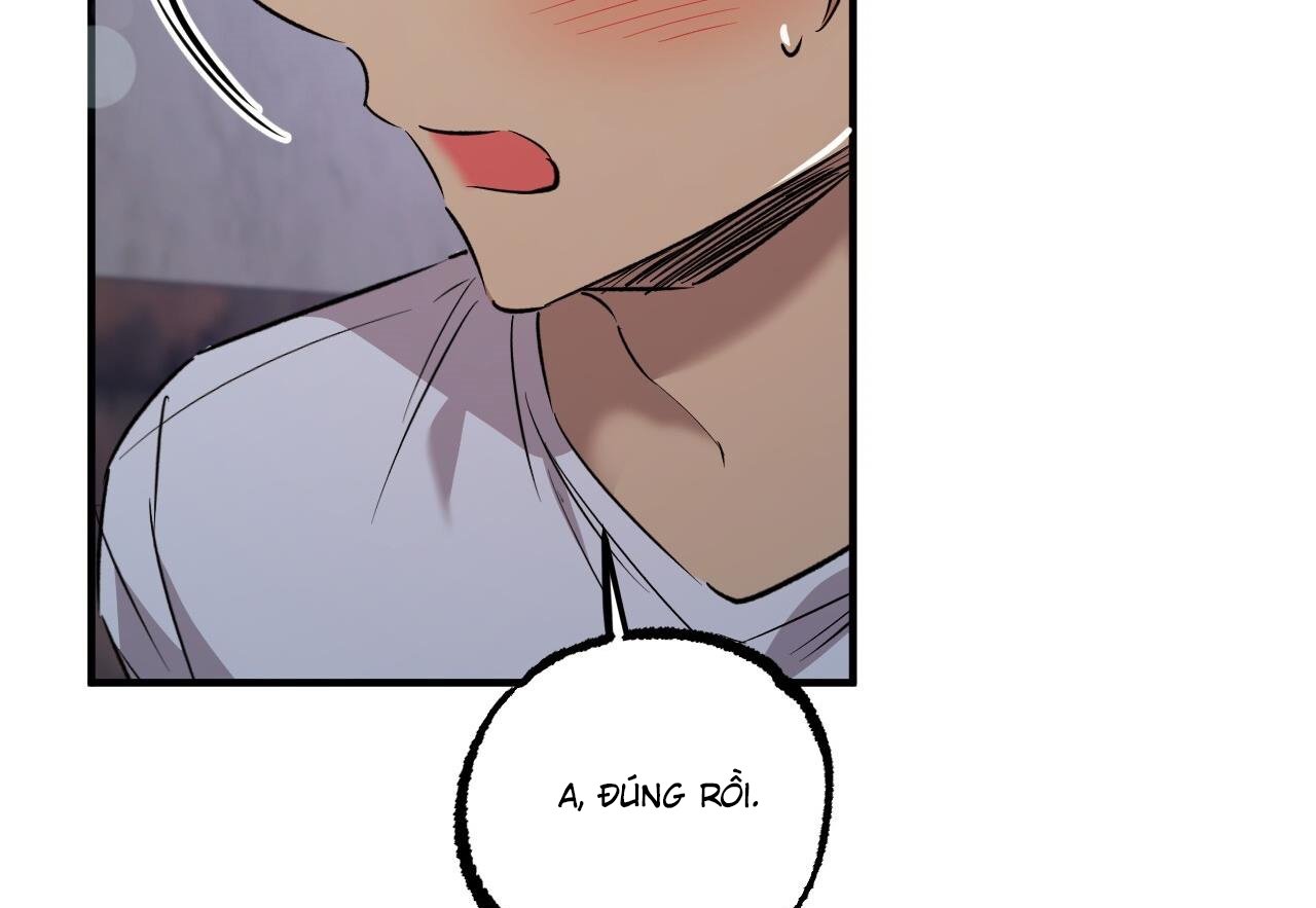 những chú thỏ của hapypy chapter 60 100