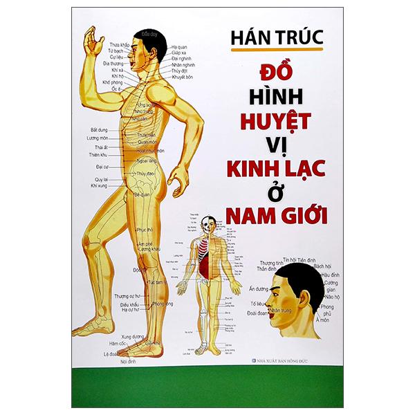 Hình ảnh Đồ Hình Huyệt Vị Kinh Lạc Ở Nam Giới