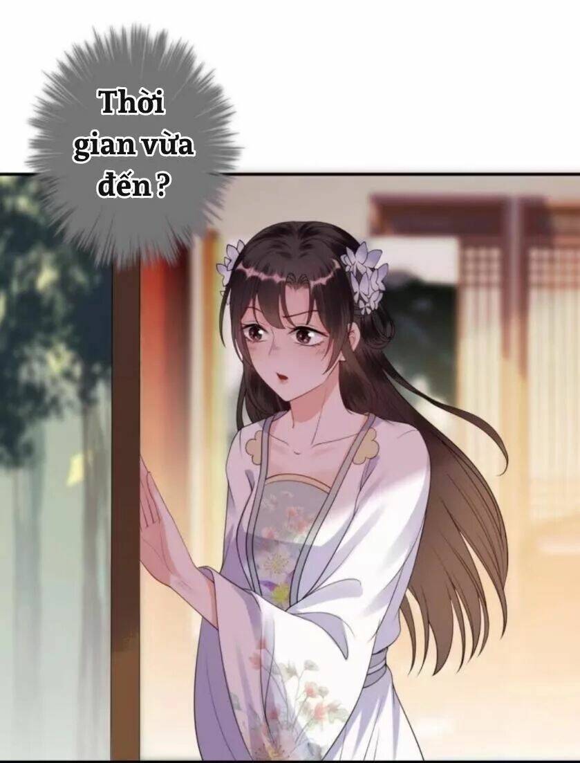 theo đuổi hoàng tử quá khó a~ chapter 102 7