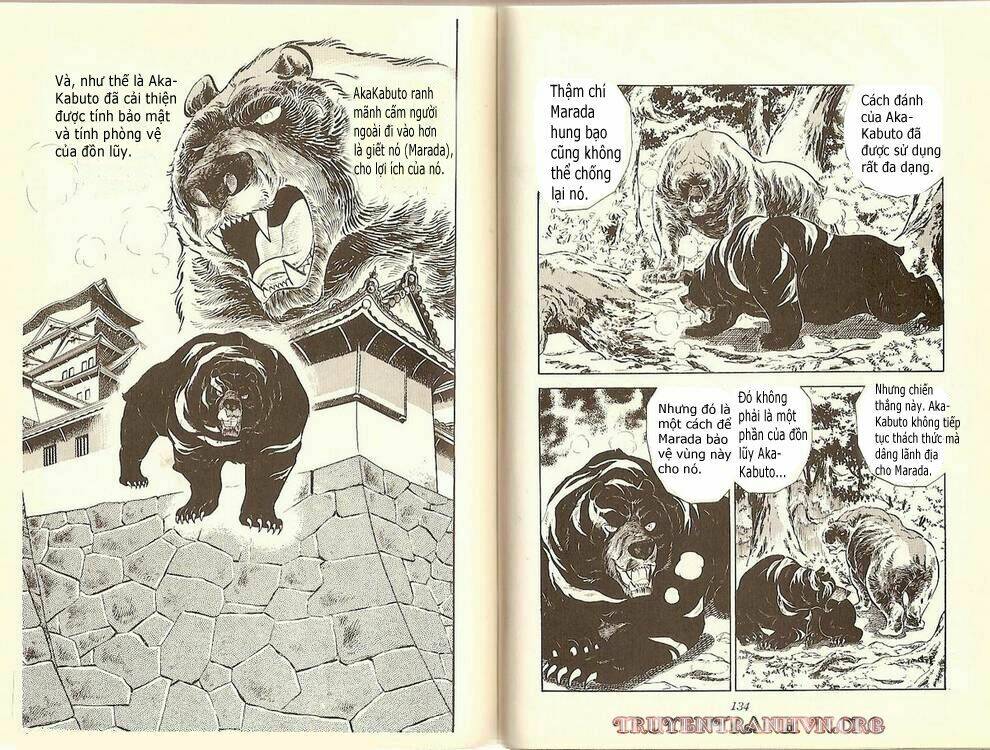 chú chó có nghĩa - ginga nagareboshi gin chapter 9 9