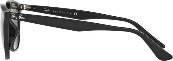 Kính Mát Unisex Rayban 4259F 601/71