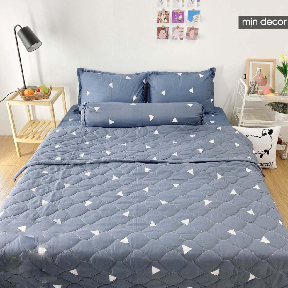 Bộ chăn ga gối cotton 3D kèm chăn trần bông hè mềm mịn bo chun miễn phí
