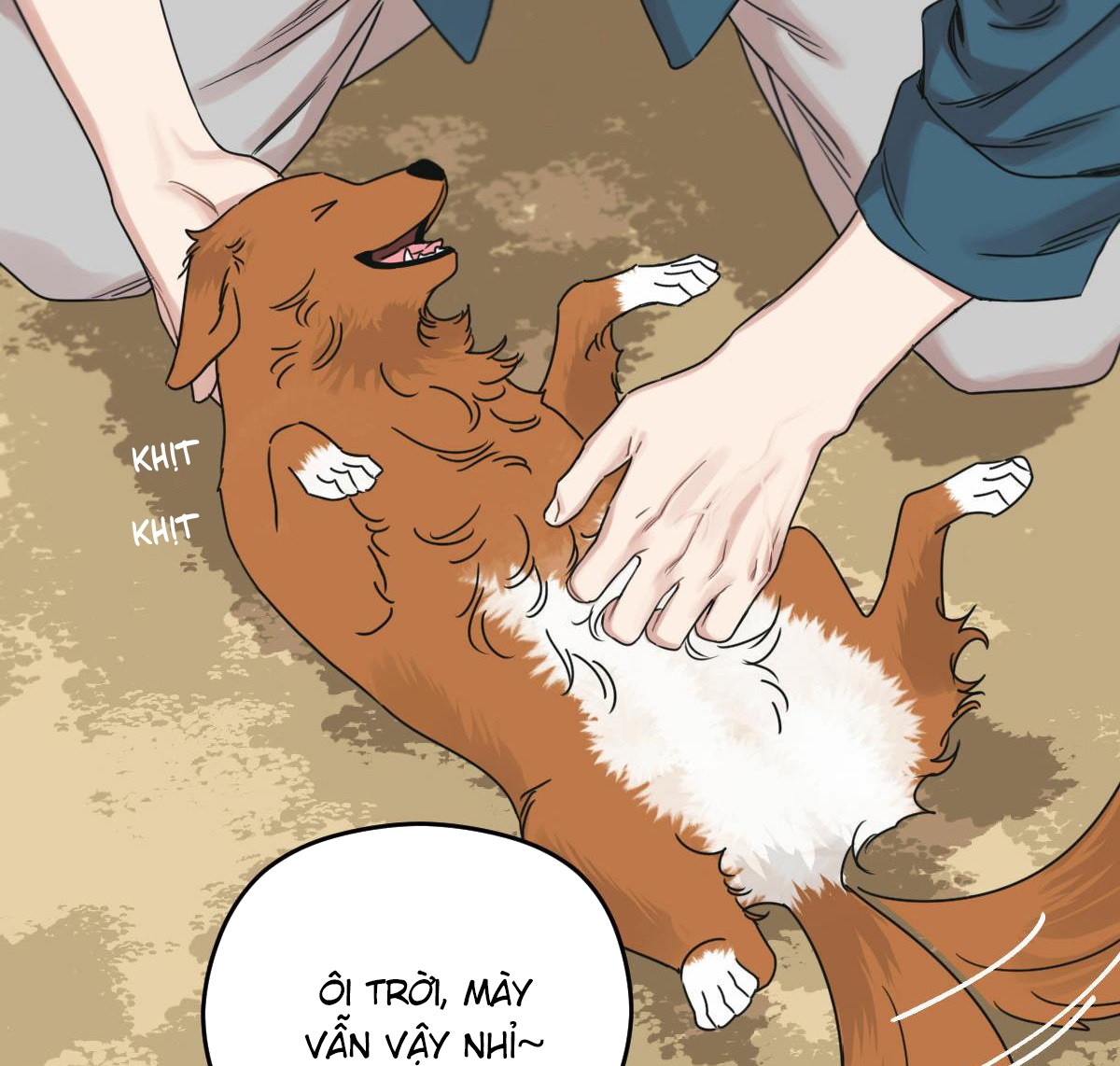 tương phùng chapter 24 184