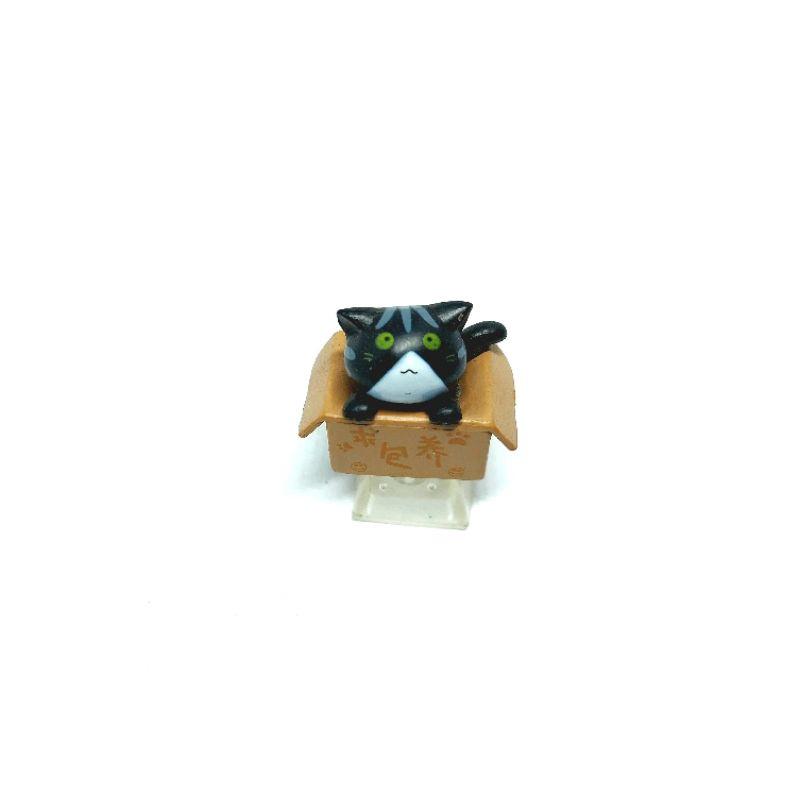 Keycap bé mèo trong hộp( cat in box) chân trong suốt