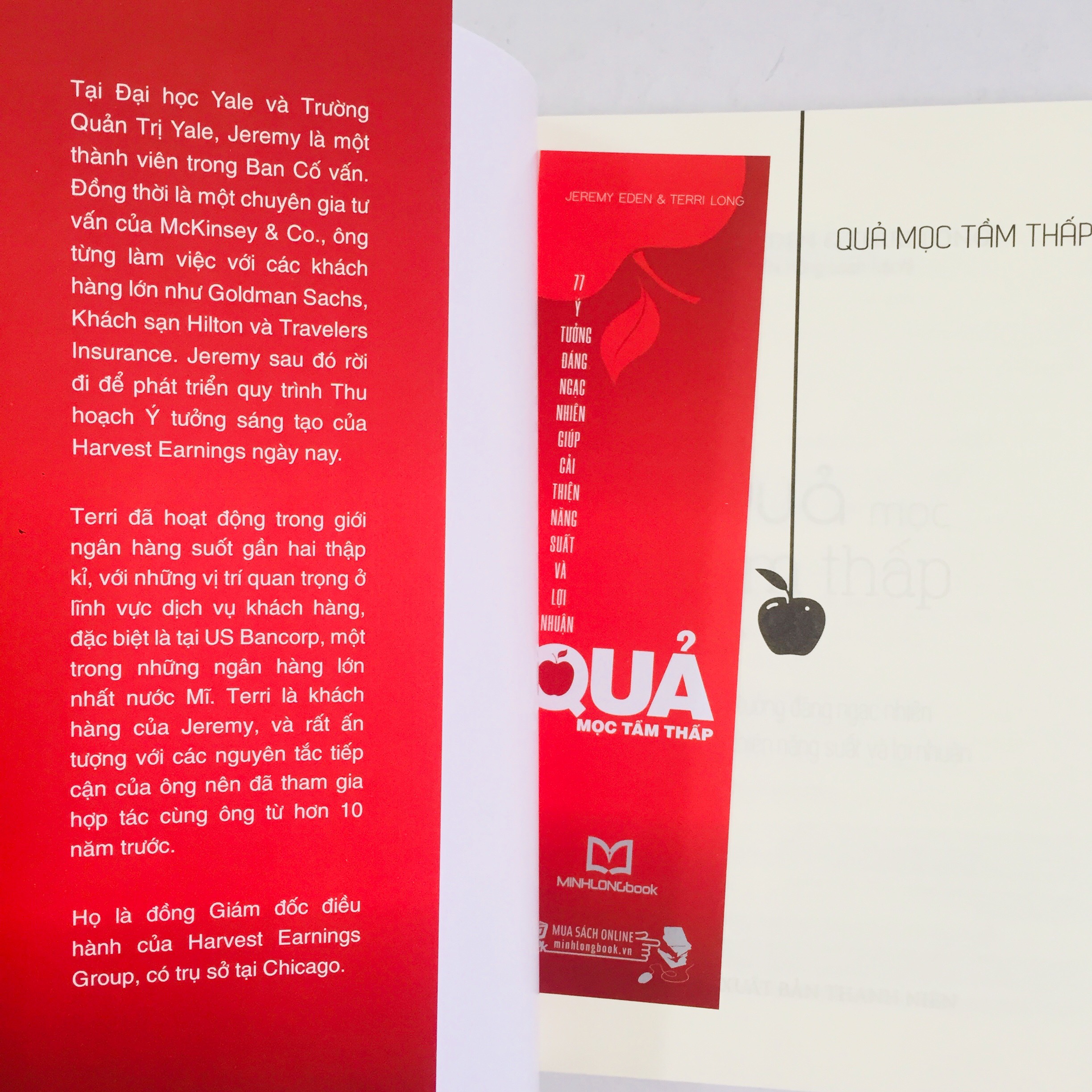 Quả Mọc Tầm Thấp – 11 Ý Tưởng Đáng Ngạc Nhiên Giúp Cải Thiện Năng Suất Và Lợi Nhuận
