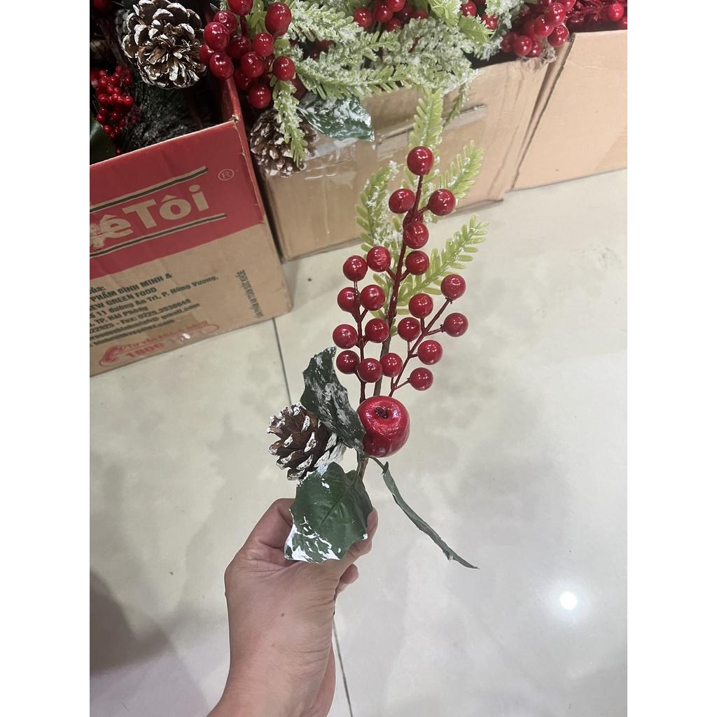 Cành thông đào đông táo đỏ dài 25cm -35cm trang trí cây thông, làm vòng nguyệt quế, cắm lọ hoa