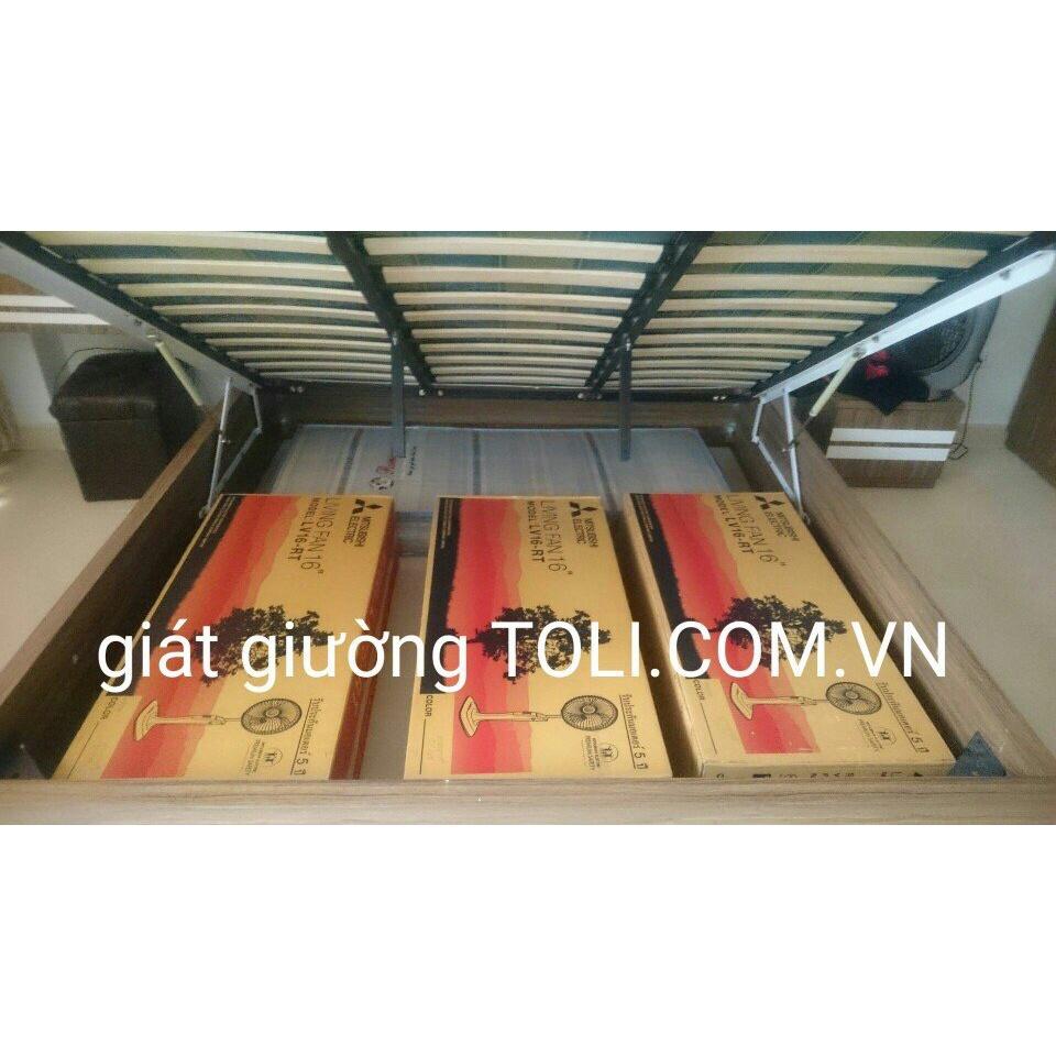 Giát Giường nan cong TOLI kích thước 2200x2000mm