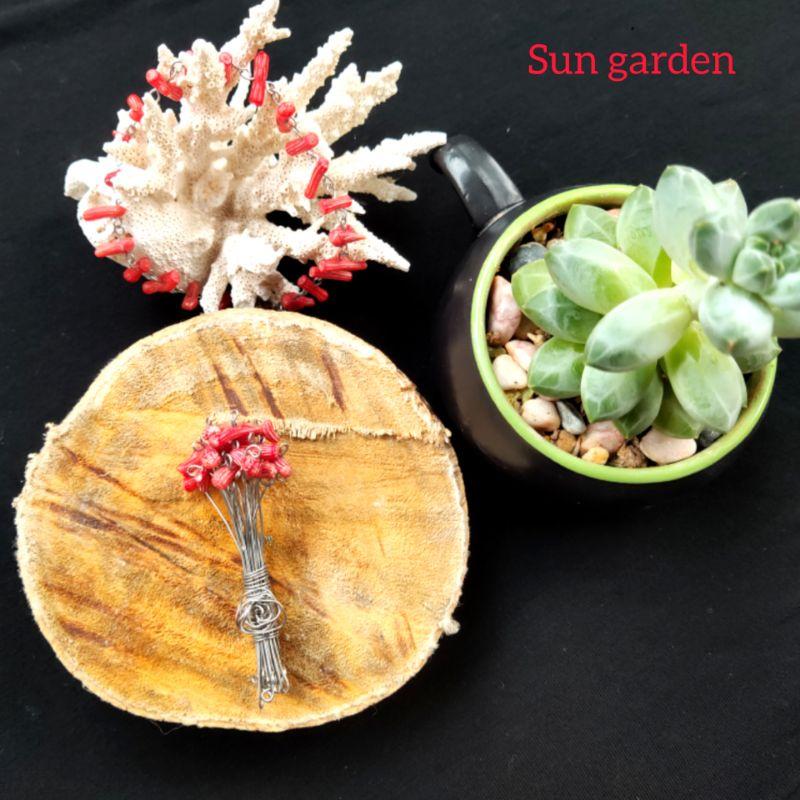 Lắc tay san hô đỏ san trọng may mắn