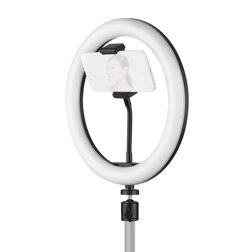 Đèn chiếu video vòng LED 10 inch để bàn 3 Chế độ chiếu sáng USB có thể điều chỉnh độ sáng Được cung cấp năng lượng với Giá đỡ điện thoại Bộ chuyển đổi đầu bóng