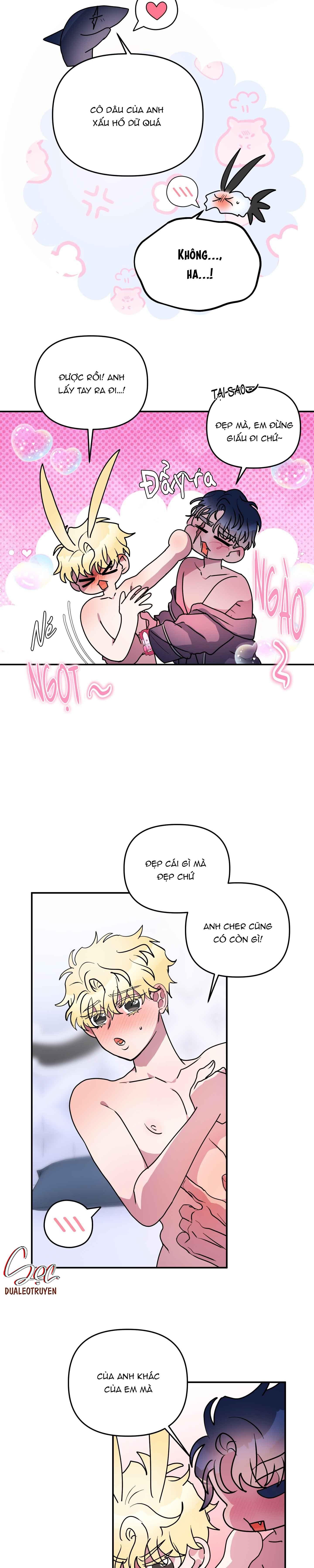 cá mập và cô dâu thỏ chapter 49 6