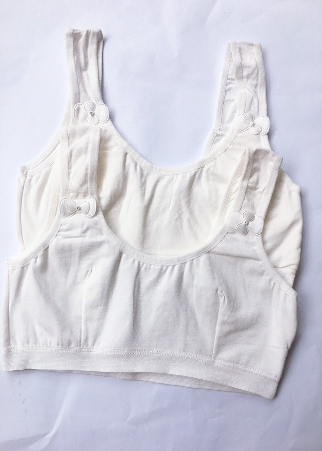Combo 2 áo lá học sinh cotton đơn giản ALHS06